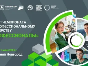 Профессионалы