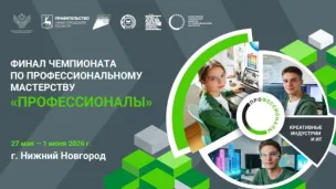 Профессионалы